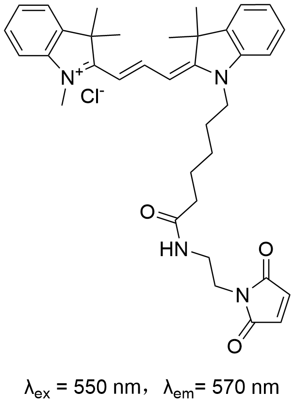 花菁染料  Cy3 maleimide