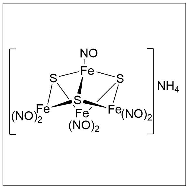 NOǰˎ RBS  Roussin}