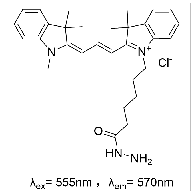 花菁染料  Cy3 hydrazide