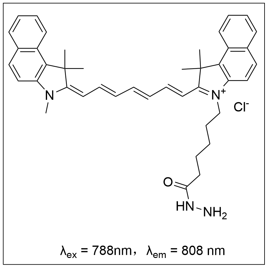 ݼȾ Cy7.5 hydrazide