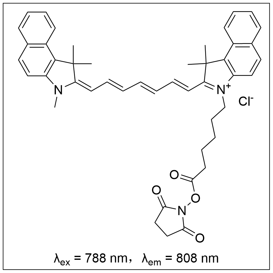ݼȾ Cy7.5 NHS ester