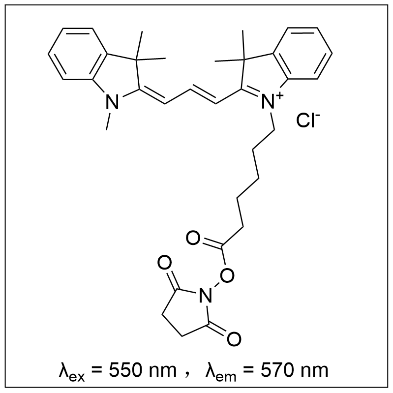 花菁染料  Cy3 NHS ester