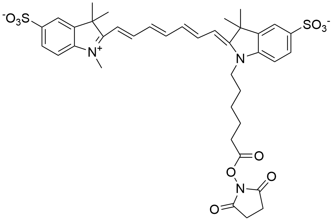 磺酸花菁染料 Sulfo Cy7 NHS ester