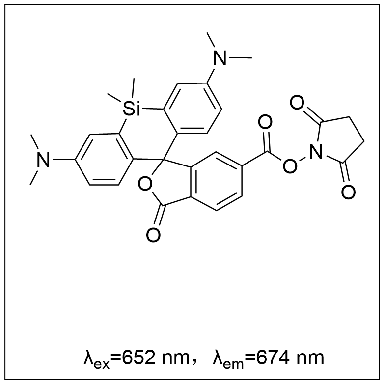 硅基羅丹明-琥珀酰亞胺酯 SiR-NHS ester