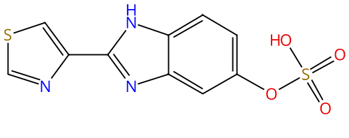 `x2