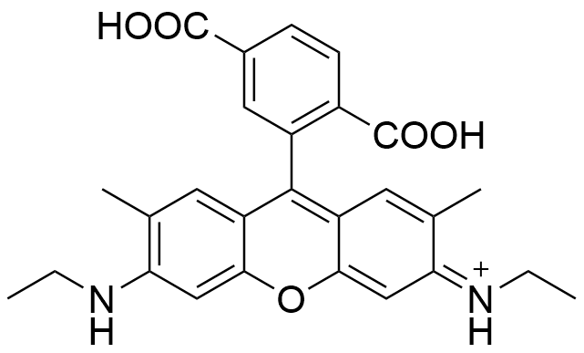 6-羧基羅丹明6G